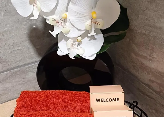 Daire Aux Portes De La Petite Venise Colmar